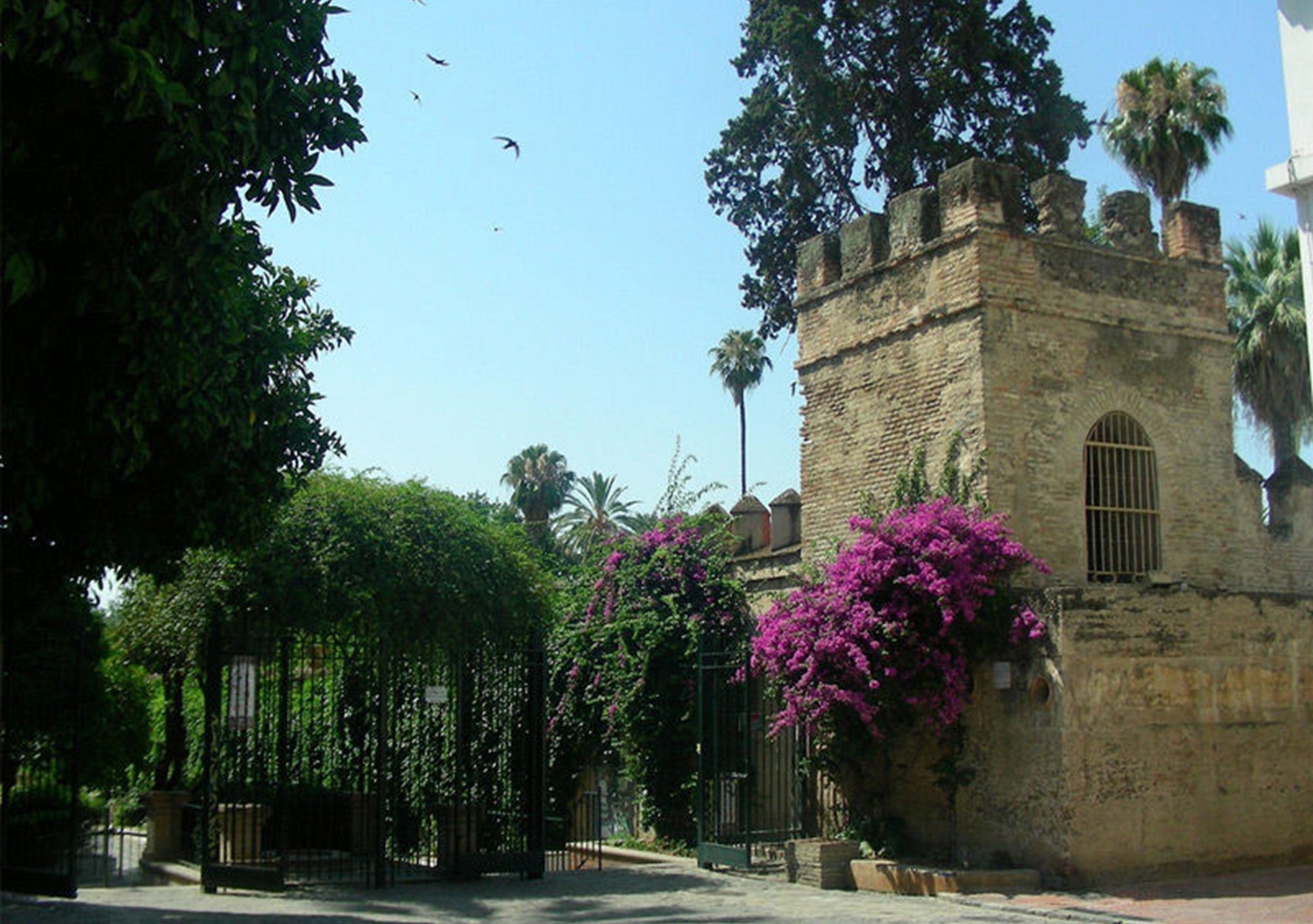 visitar Gymkhana Fotográfica y Cultural en Sevilla